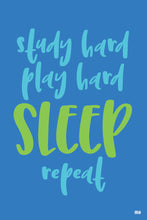 Load image into Gallery viewer, &quot;Study hard, play hard, sleep, repeat&quot; ▸Style 1 poster
