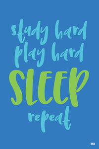 "Study hard, play hard, sleep, repeat" ▸Style 1 poster