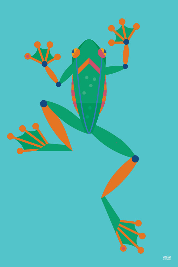 Frog 1 Style 1 poster – Project Luma